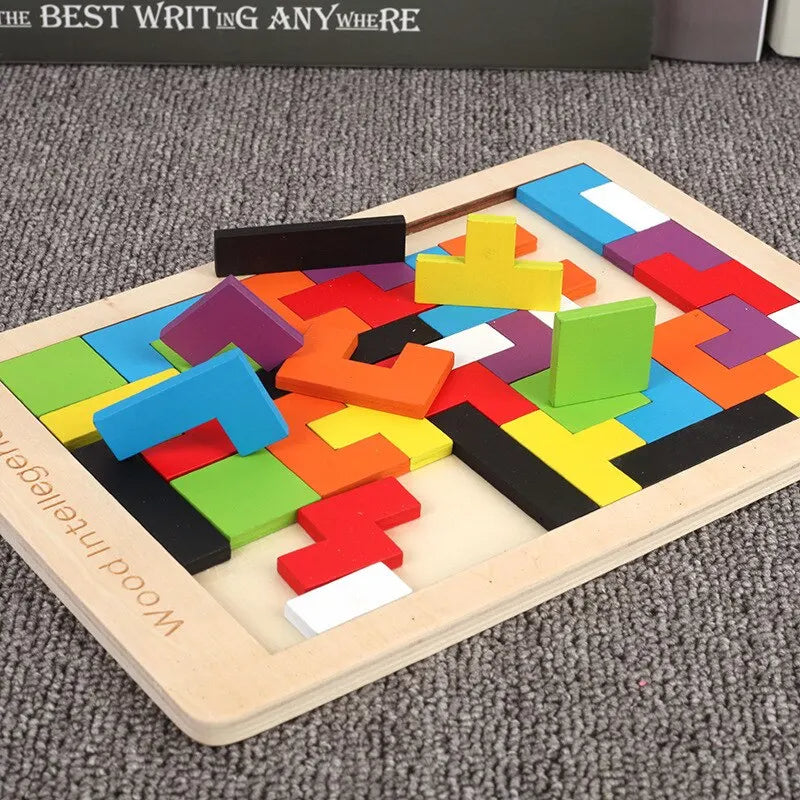 Wooden Logic Puzzle Set – Early Education Game