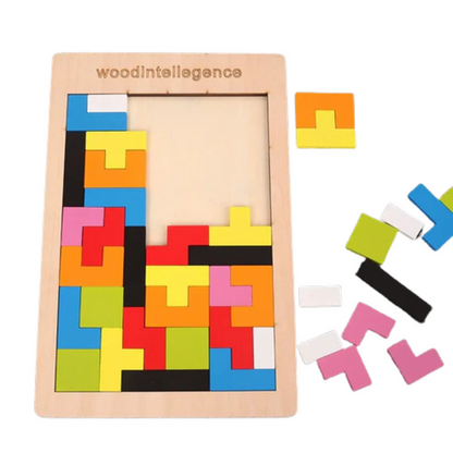 Wooden Logic Puzzle Set – Early Education Game
